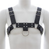 Generique Harnais SM Upper Body Chest